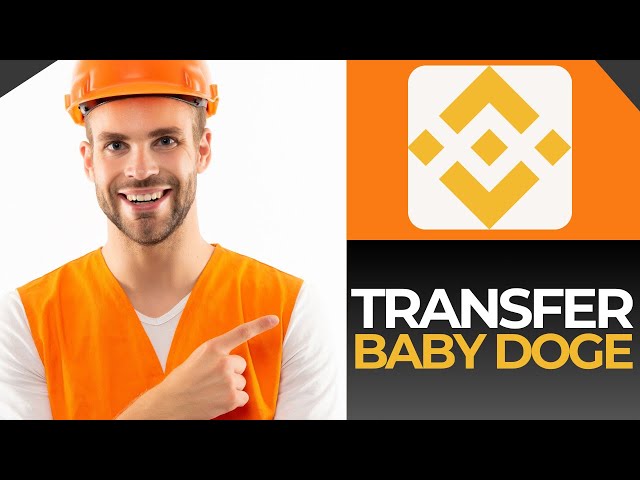 How To Transfer Baby Doge Coin From Trust Wallet To Binance | FULL GUIDE(2024)