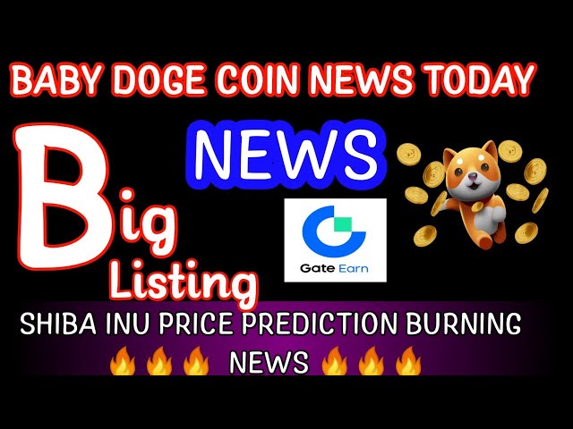 BABY DOGE COIN PRICE ANALYSIS|SHIBA INU COIN NEWS|NEIRO ON ETHEREUM COIN NEWS|Crypto News Uncut