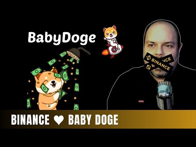 BABY DOGE DID SOMETHING AMAZING