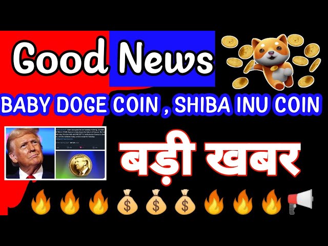 BABY DOGE COIN NEWS| SHIBA INU COIN BURNING| SUI COIN NEWS| CRYPTO NEWS| NEIRO| Crypto News Uncut