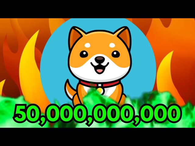 HOW MUCH WILL 50 BILLION BABY DOGE COIN BE WORTH IN 2025...