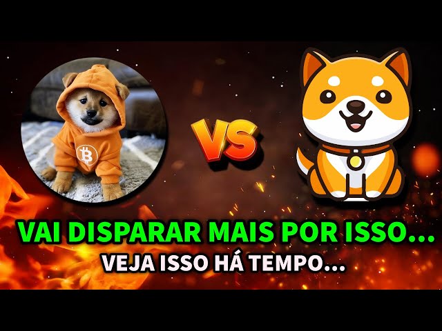 DOG GO TO THE MOON VS BABY DOGE COIN WHICH WILL EXPLODE MORE? THESE CRYPTOCURRENCIES REVEALED