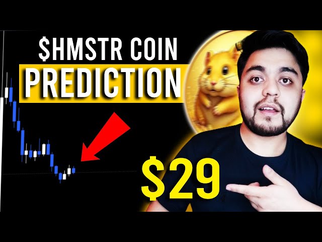 🔥BUYING LIKE $DOGE COIN IN 2020 - $HMSTR COIN PRICE PREDICTION, hmstr coin prediction 2024, 2025