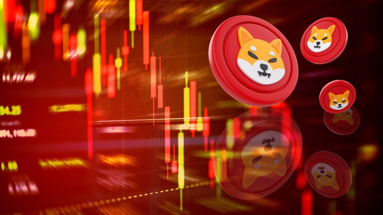 Shiba Inu 交易員表示，2021 年 RCOF 將像狗狗幣價格一樣飆升，5 個月內從 0.03 美元漲到 0.75 美元