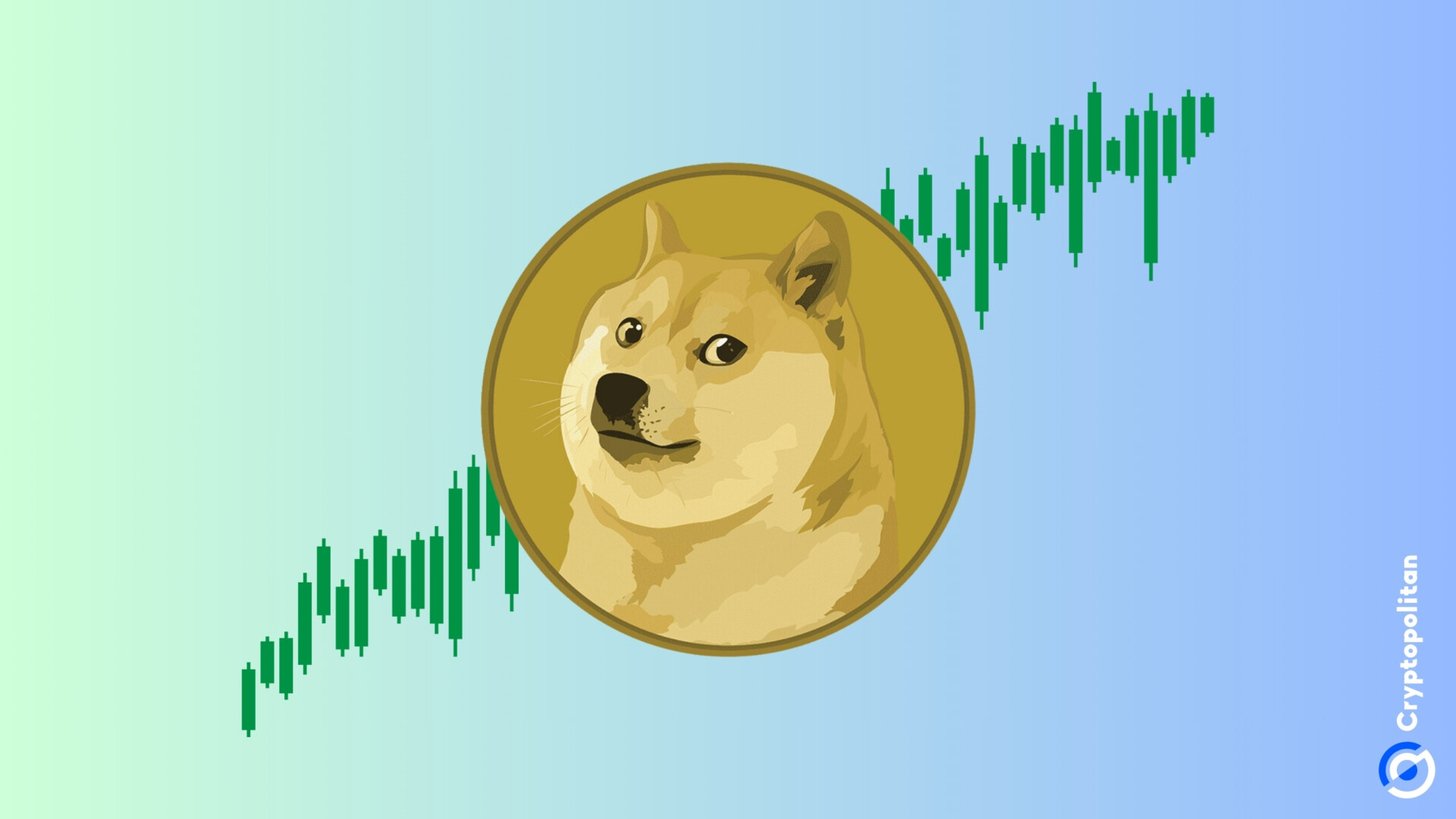 Der Dogecoin-Preis zeigt starke Anzeichen eines bevorstehenden Anstiegs