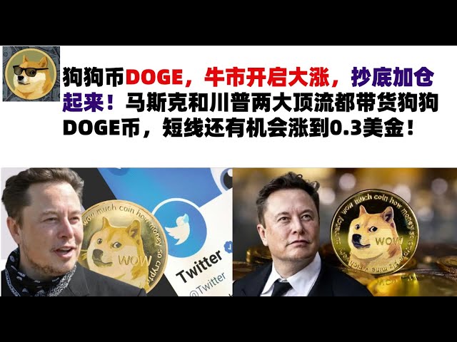 Dogecoin DOGE, the bull market has begun to rise sharply, buy the dip and add to your position! Both Musk and Trump are carrying DOGE coins, and there is a chance that the price will rise to 0.3 US dollars in the short term! Musk’s Dogecoin | DOGE market 