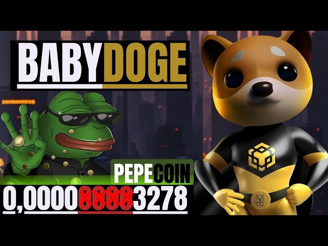 🔥BABY DOGE COIN // PEPE COIN // SHIBA INU E MT MAIS🔥#babydogecoin #bitcoin