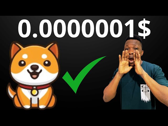 BABY DOGECOIN:BABY DOGE PREDICTION DE PRIX BULLRUN 2025