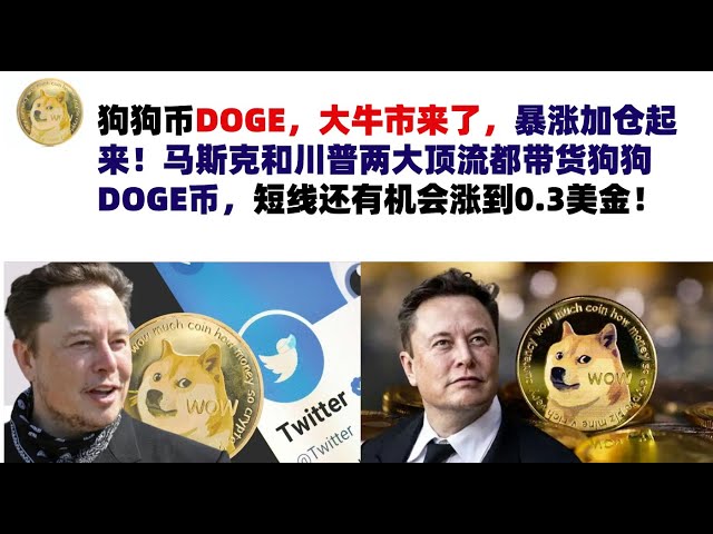 Dogecoin DOGE, the bull market is coming, so increase your positions! Both Musk and Trump are carrying DOGE coins, and there is a chance that the price will rise to 0.3 US dollars in the short term! Musk’s Dogecoin | DOGE market analysis!