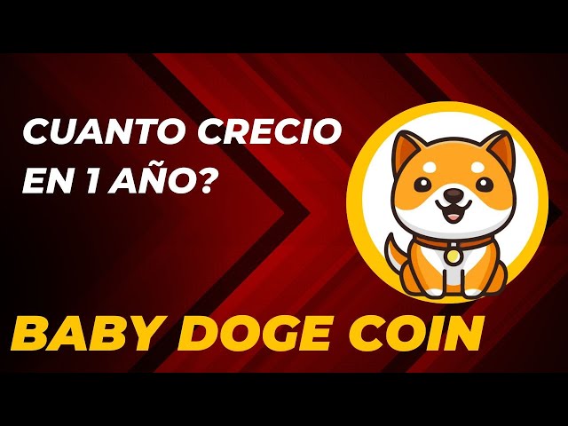 Baby Doge Coin How much growth has it had since last year? #babydoge #babydogecoin #bitcoin