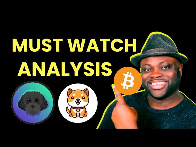 Baby Doge and Myro Coin EXPLOSION | LIVE Bitcoin Crypto Trading