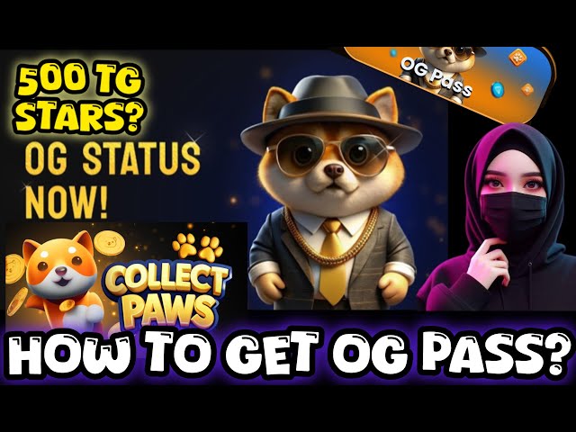 Baby Doge Paws OG Pass || Babydoge Paws OG Passes Kaise le ? Baby doge paws Withdrawal ?