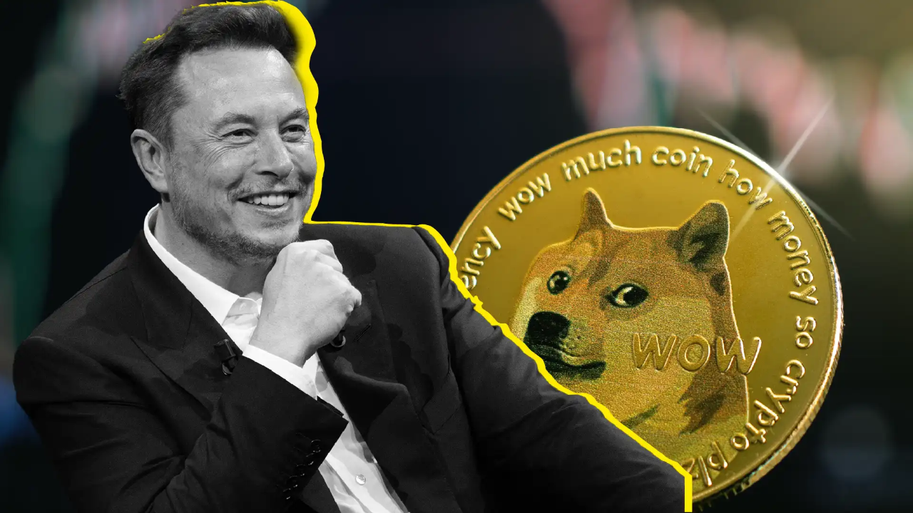 Dogecoin steigt um 11 %, da Elon Musk 75 Millionen US-Dollar zur Unterstützung von Trump spendet