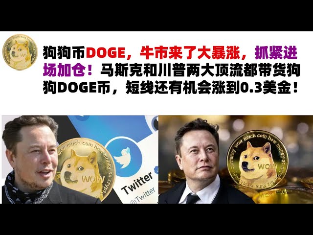 Dogecoin DOGE, the bull market is coming and it will skyrocket. Hurry up and enter the market to increase your position! The two top celebrities, Musk and Trump, both carry DOGE coins, and there is a chance that the price will rise to 0.3 US dollars in th