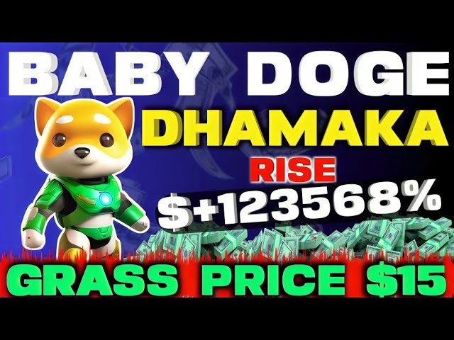 Grass Price $15🙄| Baby dogecoin news today hindi | Baby doge price prediction |