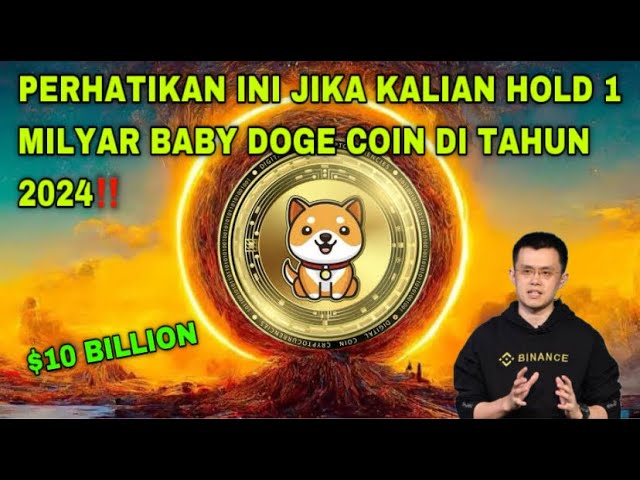 PAY ATTENTION TO THIS IF YOU HOLD 1 BILLION BABY DOGE COINS IN 2024‼️