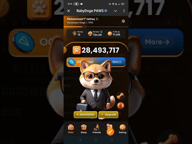 Baby Doge Paws Airdrop New Update | Baby Doge Airdrop Listing Date | Baby Doge Airdrop Withdrawal