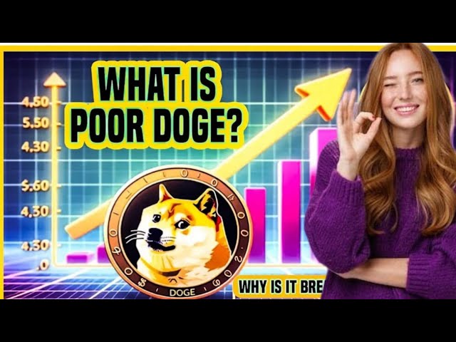 🚀 POOR  DOGE 🐕 BEST MEME COIN EVER🔥INTERNET'S LATEST TRANDING CRYPTOCURRENCY