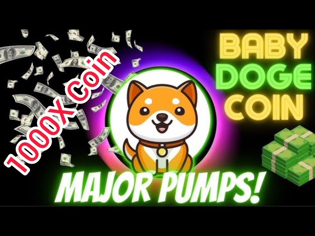 ベイビードージ 1000X コイン | Baby Doge Coin 価格予測 |今日のベイビードージコインニュース