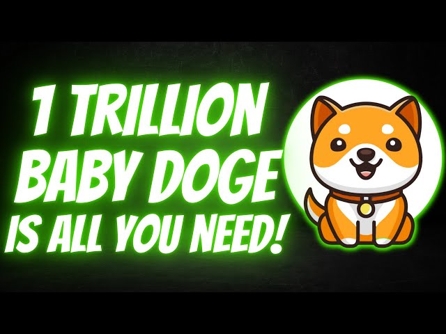 BABY DOGE Is ABOUT To Make a HUGE Move SOON