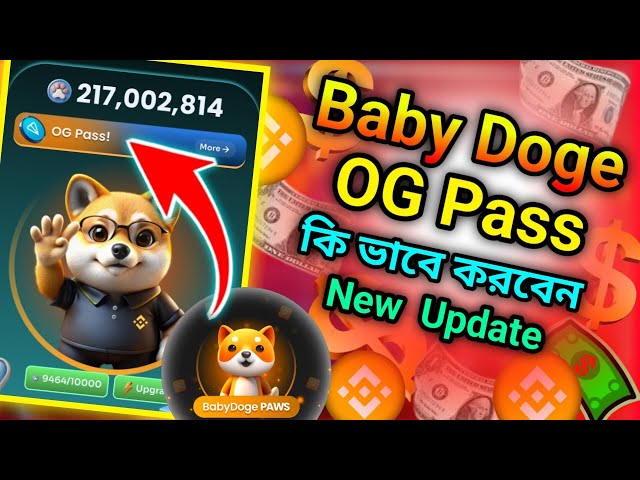 Baby Doge OG Pass। Baby Doge Listing Q4। Baby Doge Listing Binance । Baby Doge Wallet