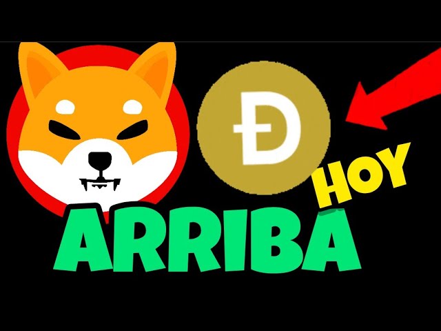 Crypto Market Today Shiba Doge coin arriba #cryptocurrency