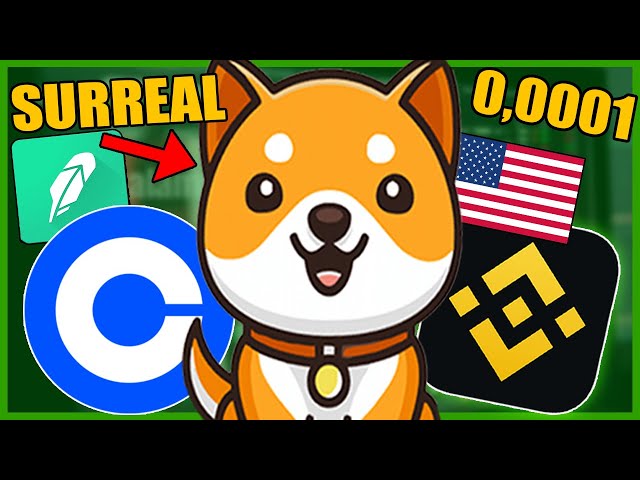 BABY DOGE URGENT! BOMB NEWS! BABY DOGECOIN - NEW APPRECIATION OF MEMECOIN CRYPTOCURRENCY