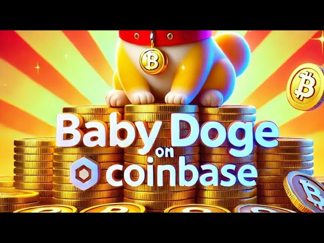 BABY DOGE COIN‼️THIS IS YOUR OPPORTUNITY NOW🚨