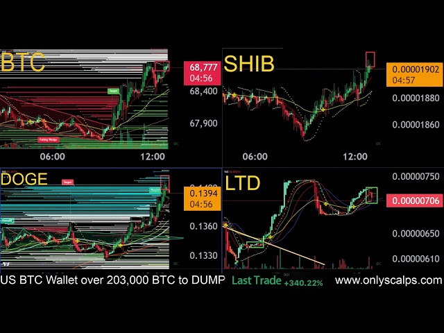 Tametheark Drawing Red Blocks LIVE - DOGE  coin and BTC start to dip hard.   SHIB follows!!!