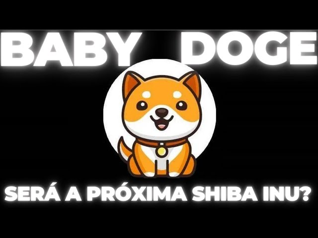 BABY DOGE COIN - WILL IT BE THE NEXT SHIBA INU?