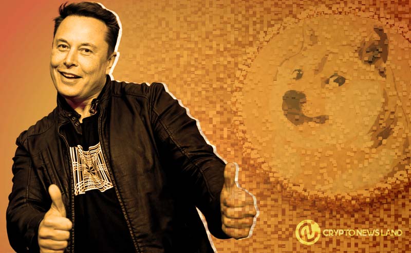 Elon Musk Proposes D.O.G.E. Concept, Sparks Dogecoin Community Excitement