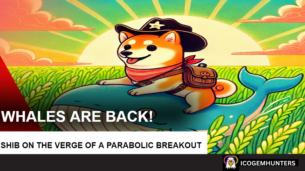 Whales Are Back! Shiba Inu on the Verge of a Parabolic Breakout