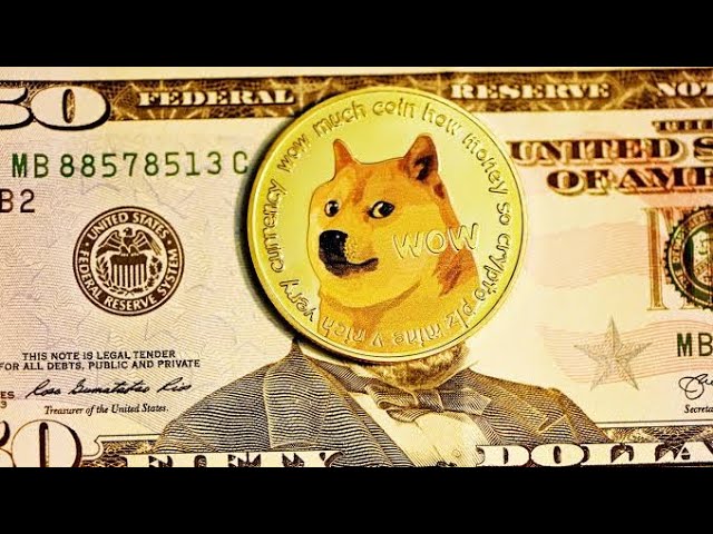 DOGE COIN ANALYSIS WILL DOGE COIN RISE CONTINUE DOGE BREAKING NEWS URGENT VIDEO