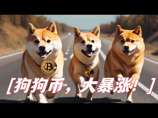 Dogecoin doge has skyrocketed! ! Where will it rise next? What is the next skyrocketing coin? Shib will also make up for the increase? Bitcoin latest market analysis