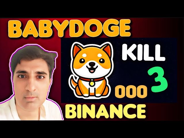 BabyDoge Coin 3 ZERO KILL Binance Listing| BabyDoge Coin Price Prediction | BabyDoge Coin News Today