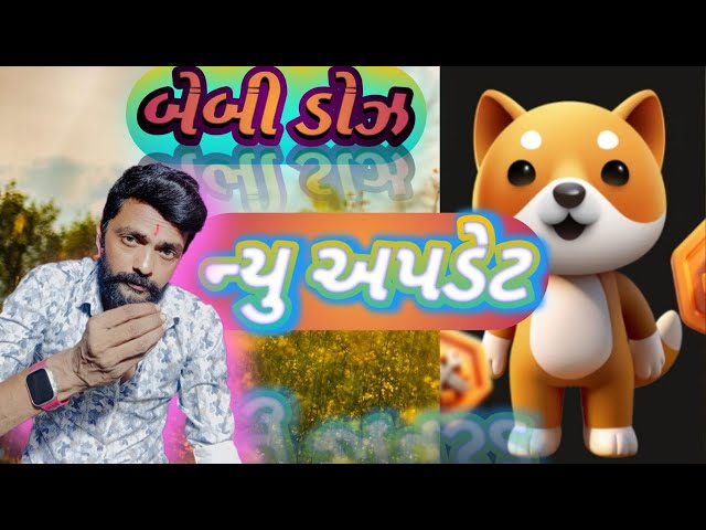 today new update baby doge paws ! how to show new future baby dogecoin ! gujrati !