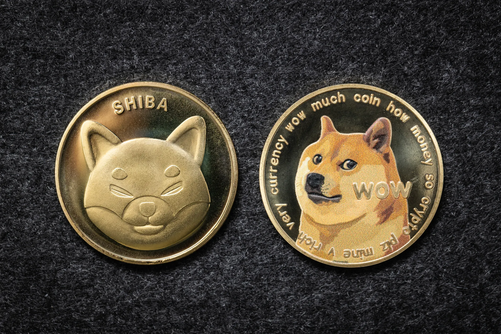 Por qué Zig Network (ZIG) superará a Dogecoin (DOGE) y Shiba Inu (SHIB) en 2024