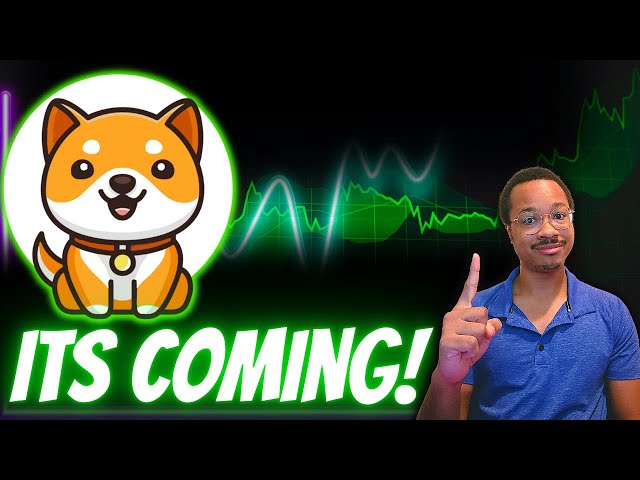 BABY DOGE Is COOKING Something BIG Right Now!