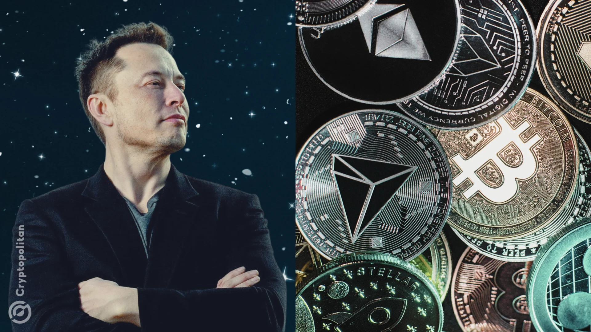 Elon Musk might be a hero – but he is certainly NOT crypto’s hero