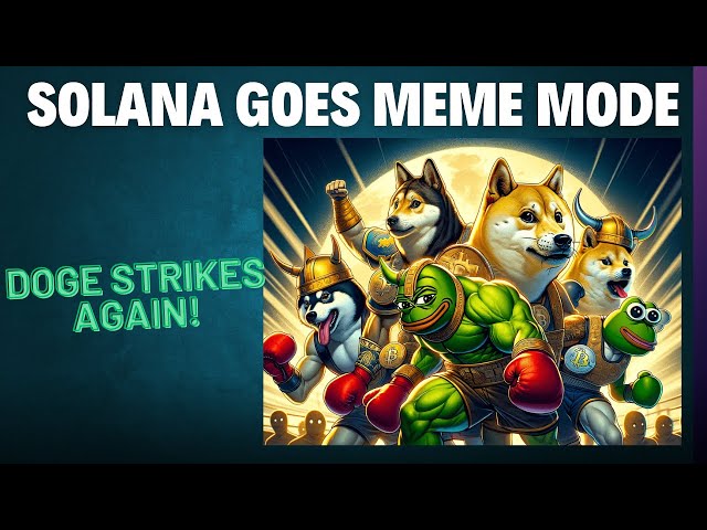 Solana Goes Meme Mode: DOGE strikes again!