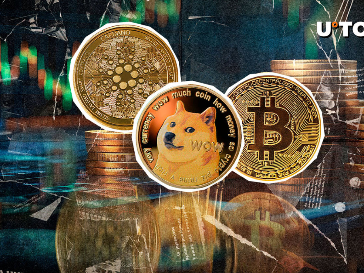 BTC, DOGE and ADA Whales Might Drive Price Rebound, Here's Why