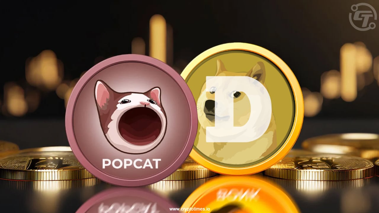 Popcat steigt um 11 % und übertrifft Dogecoin