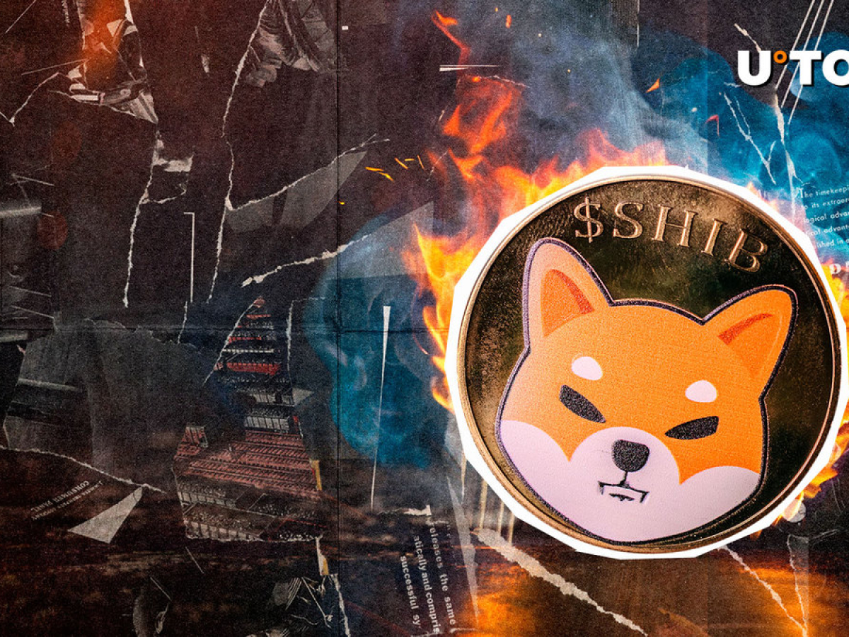 SHIB Burns Skyrocket 6,750% - Here's What's Happening