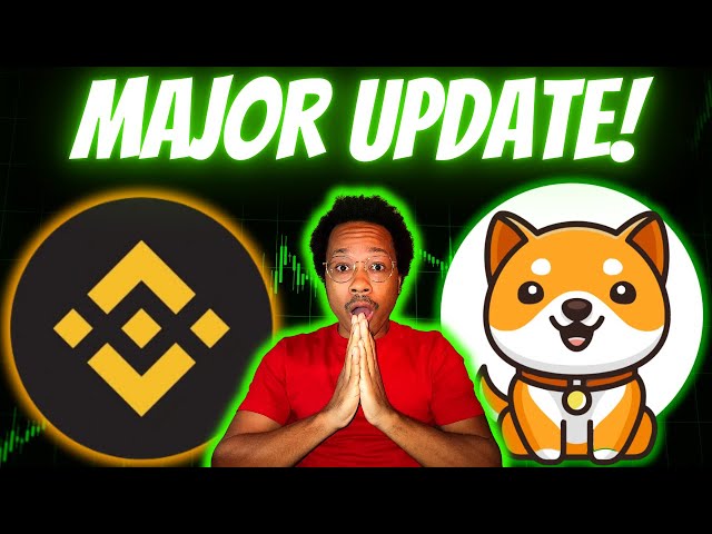 BINANCE Is LOADING Up On BABY DOGE