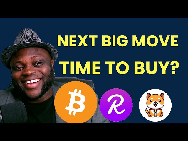 Baby Doge, Reef Coin, Bitcoin, & Crypto Bubbles NEXT MOVE