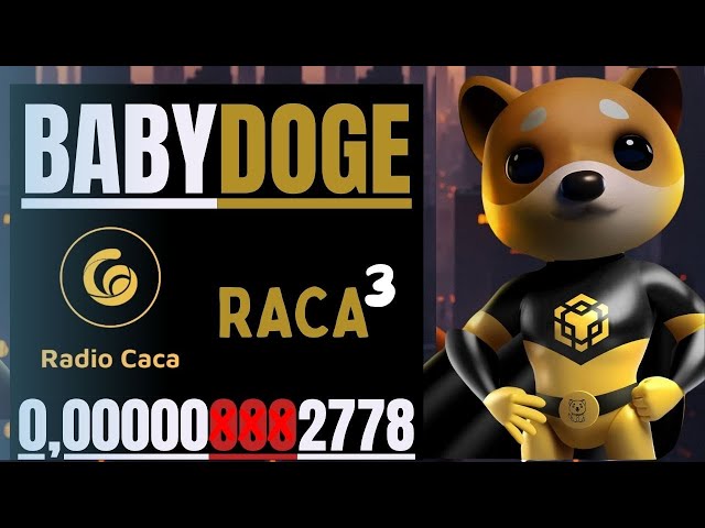 🔥BABY DOGE COIN // RADIO CACA+VITAINU+SHIBA INU // CHECK OUT🔥 #babydogecoin #babydoge #shib