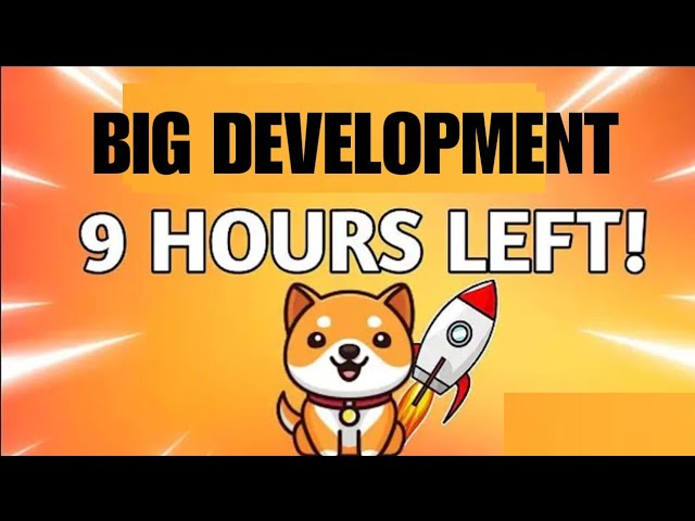 Baby Dogecoin News Today | Burning | BabyDoge Coin Price Pump 119x | Binance Listing