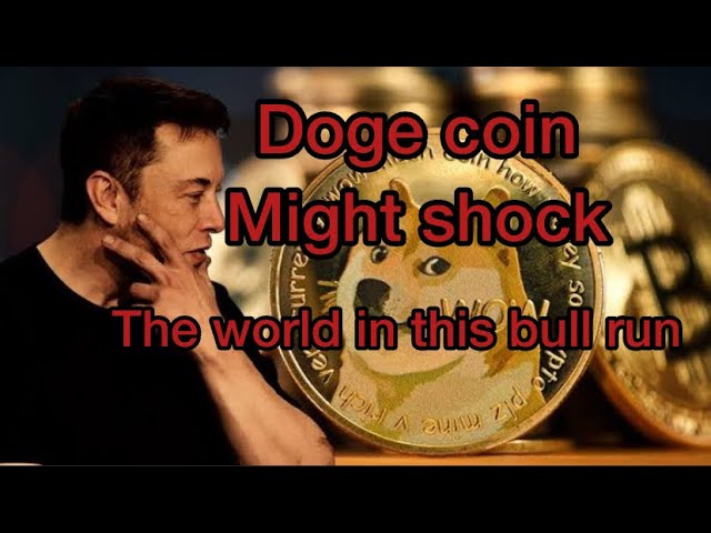 Things you must know before investing into doge coin