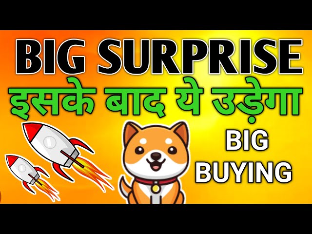 BABY DOGECOIN बड़ा ऐलान 🚨 BABY DOGECOIN BIG NEWS  💰 BABY DOGECOIN PRICE P 2025 🚨 BIG SURPRISE