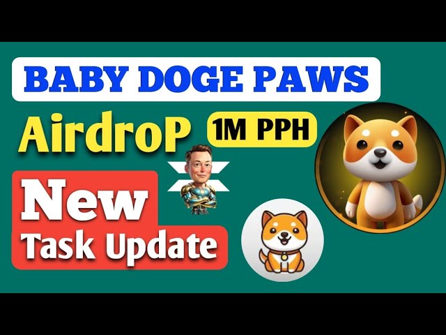 Baby Doge PAWS 1M PPH | Baby Doge PAWS New Task kaise kare | All Information BTC